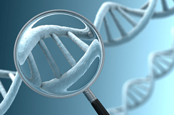 DNA coil with magnifying glass