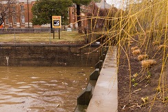 Water pollution from runoff