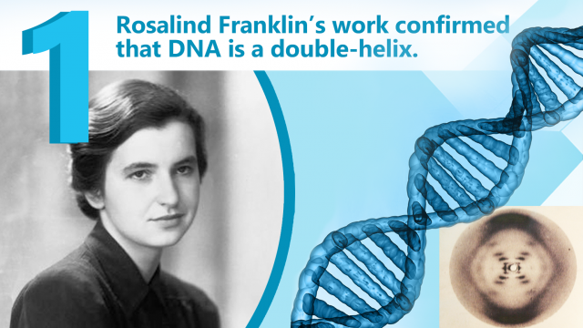 Rosalind Franklin