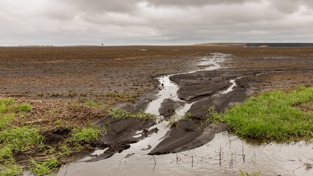 Flooded farmland