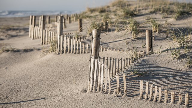 Beach Fence