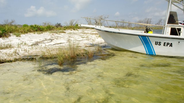 White boat with a blue strip on the side and U.S. EPA written next to it. The boat is pulled on on the shore of a beach with shite sand and grasses.