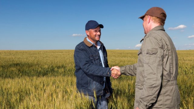 Two farmers shaking hands in a crop field