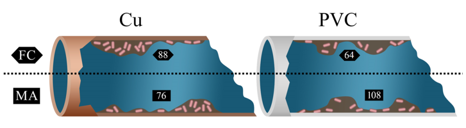 Graphical summary contact time (Ct) inactivation values (mg min liter-1) for free chlorine (FC) and monochloramine (MA) disinfection efficacy for 4-log10 CFU cm2 reduction of biofilm-associated L. pneumophila on copper and polyvinyl chloride surfaces.