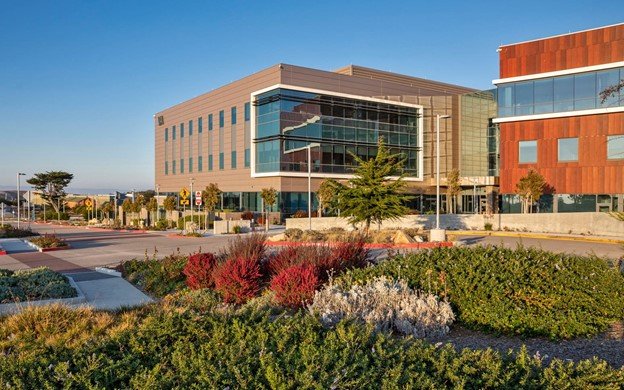 A newly constructed building with walkways situated among many plants 