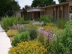 Off-site stormwater garden