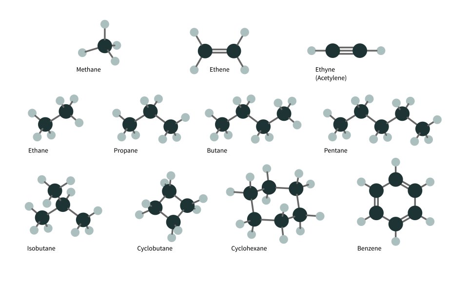 Different hydrocarbon molecules