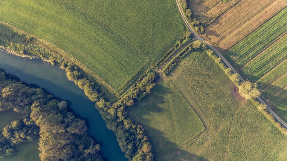 Aerial view of a green field