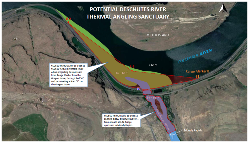 Locations and closure periods of 'thermal sanctuary' areas are indicated on a map of the Columbia and Deschutes Rivers.