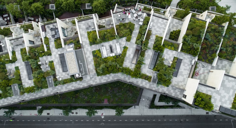 Aerial view of a rooftop garden as an example of green infrastructure