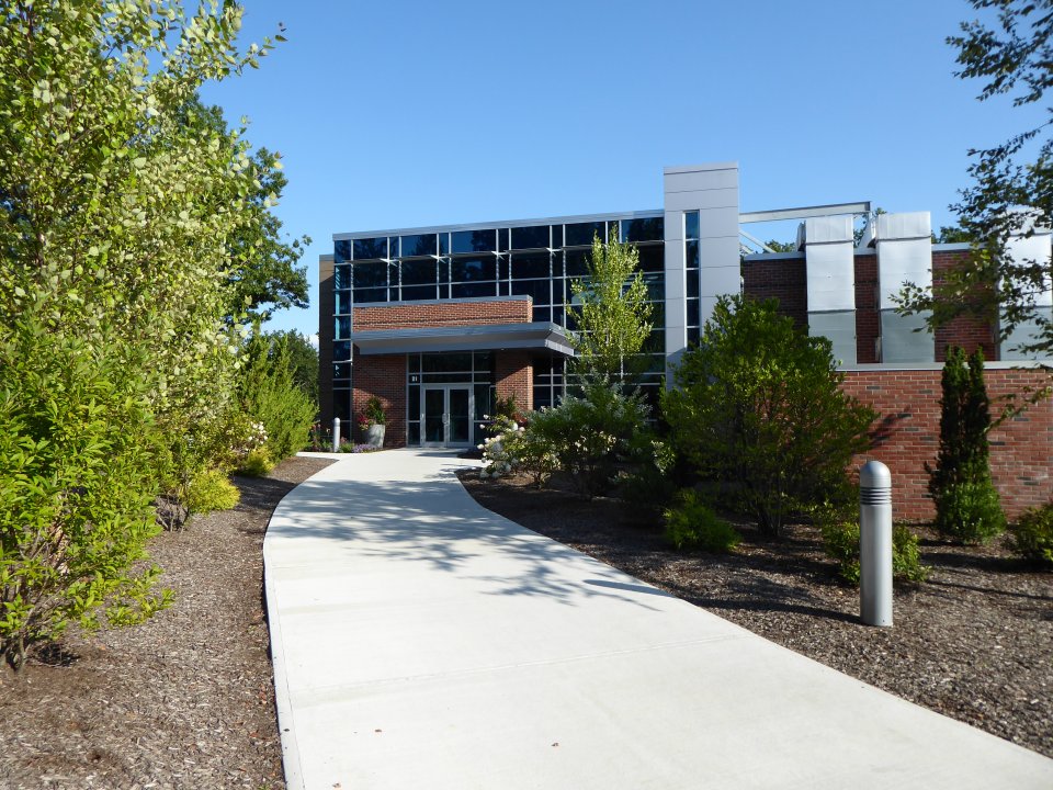 A paved walkway leading to a building, with trees and bushes on either side.