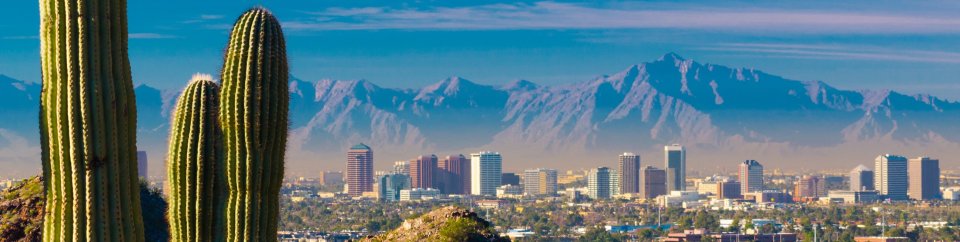  mountain cityscape banner with cactus