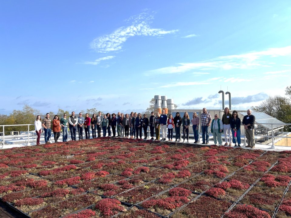 Group pic on the green roof