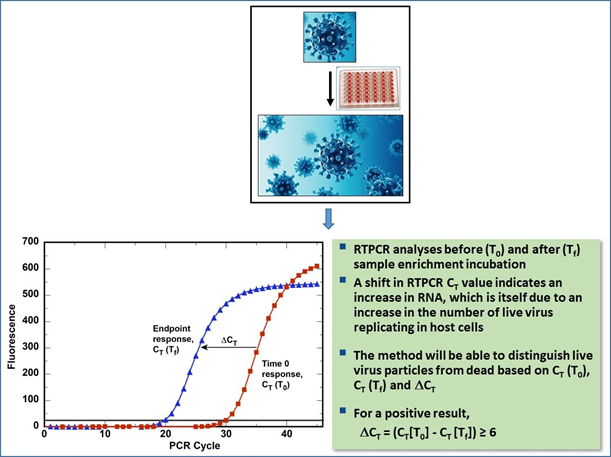 Example Depiction of the SARS-CoV-2 RV-RTPCR Method