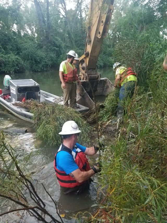 Workers complete habitat improvements including bendway weir, locked brush pile and planted willows.