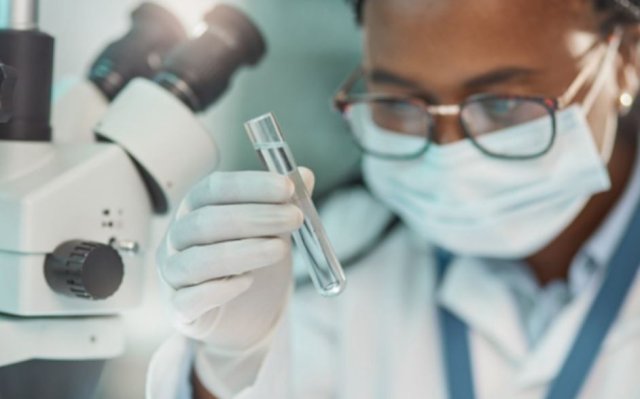 scientist examines sample 