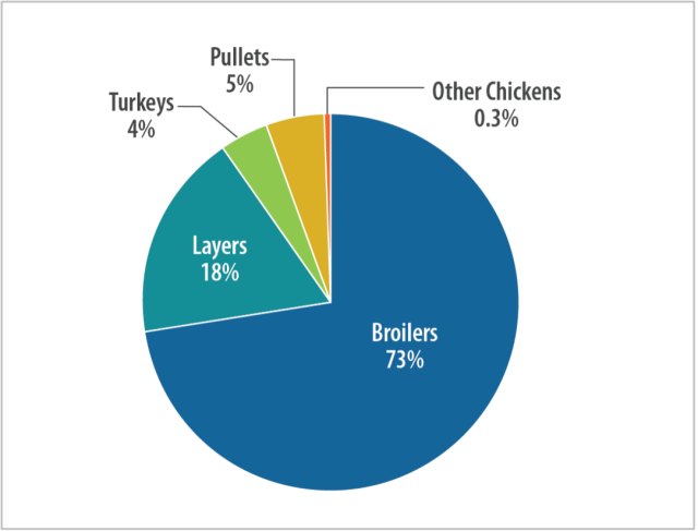 Figure 3. Pie chart of U.S. Poultry Population by Bird Type, 2018.