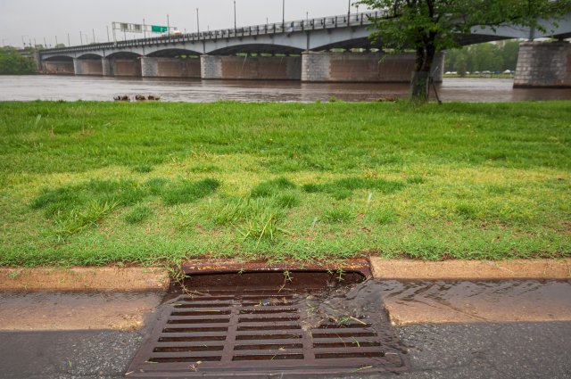 river bank