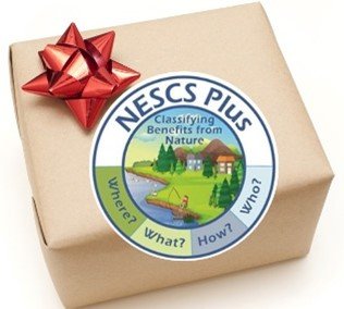 NESCS Plus gift box