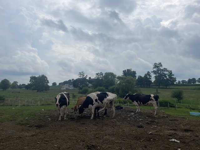 Image of farmland