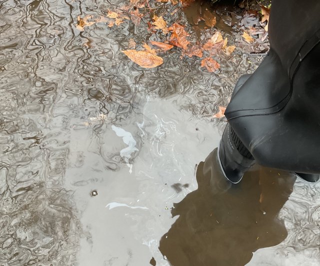 Light sheen observed on water in Leslie Run creek