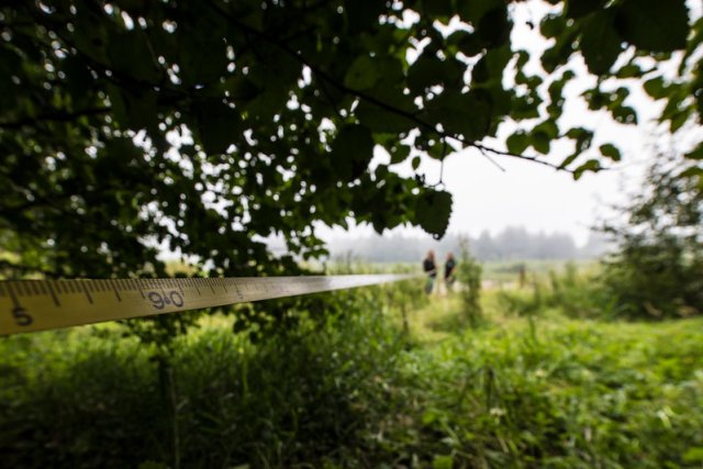 Figure 26. A riparian buffer made up of herbaceous and woody vegetation