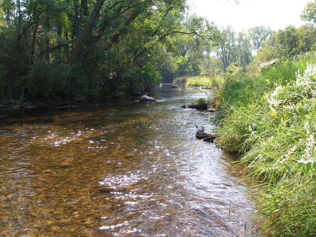 Figure 27. Stream habitat improvement