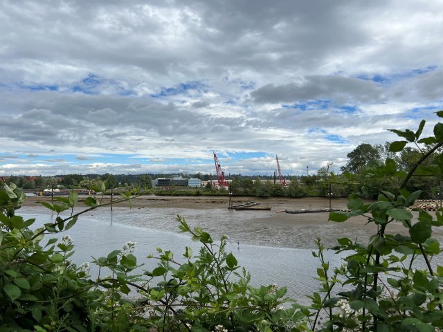 River at Lower Duwamish Superfund Site