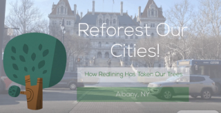 Reforest our cities video