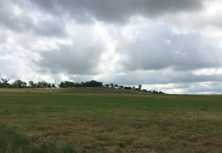 Photo of cleanup at Blue Mound near former city of Treece, Cherokee County, Kansas.