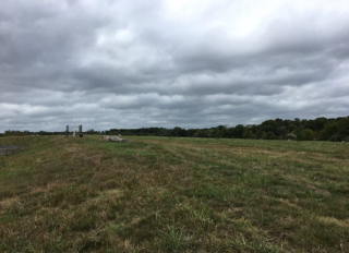 Photograph showing the native grass cover across the landfill cap.