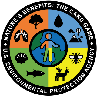 A circular graphic divided into four quadrants colored (clockwise from top left quadrant) orange, blue, yellow and green. Inside each quadrant are icons representing various ecosystem benefits. A globe icon with a human figure, colored with the same orange, blue, yellow and green quadrant, rests in the center of the circular graphic. 