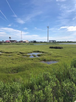 Image of a tidal marsh with a wind turbine, water tower, and buildings in the background. 