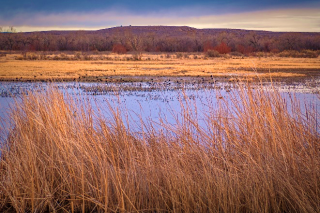 Image of grass in front of marshland leading out to a mountain