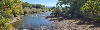 Animas River near Cedar Hill