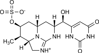 Cylindrospermopsin and Analogs chemical structure