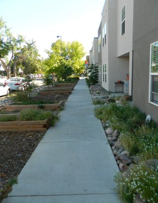 This image shows a sidewalk, with a building to the right and plants and green infrastructure on either side.