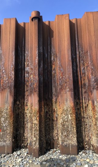 Photo showing rust and deterioration on the sheet pile wall due to decades of exposure to natural elements.