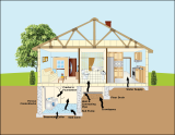 Graphic of house with illustration of how radon could enter a home.