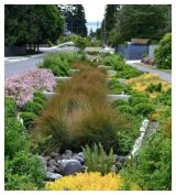 Sidewalk stormwater runoff controls