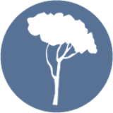 Tree icon