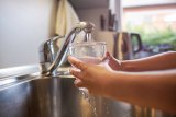 child holding a glass under the faucet